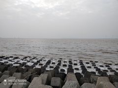 -碧海金沙