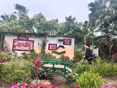 -中澳友谊花园