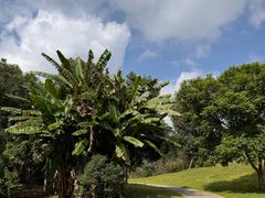 -白鹭湾湿地公园