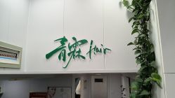 -青霖·飘逸造型