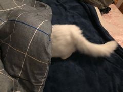 -非常粥道(天宝东街店)