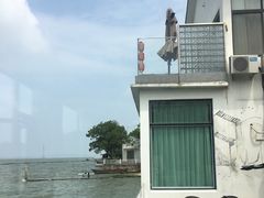 -古尚锦酒楼·水上餐厅