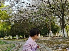 -江南大学(蠡湖校区)