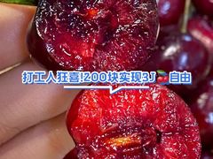 -万达广场(松江店)