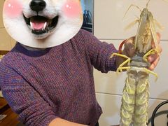 -凯华海鲜火锅·传承三十六年