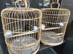 -到家尝北京菜(西坝河店)