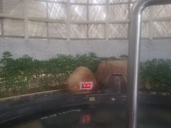 -凤翔首邑温泉度假村