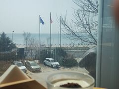 -了不起的考拉咖啡店(高新店)