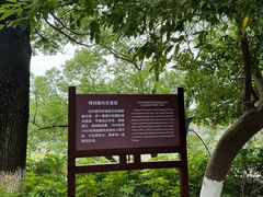 -蒋经国旧居
