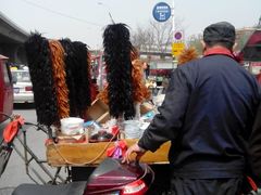 -中环花鸟鱼虫市场
