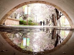 -元大都城垣遗址公园