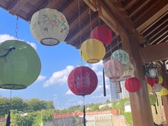 -广西壮族自治区药用植物园