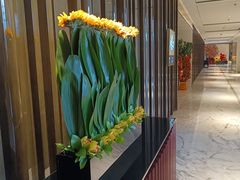 -上海宝华万豪酒店