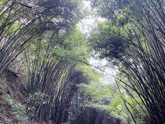 -凤栖山