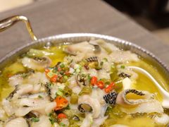 -松花湖水饺(新濠天地店)