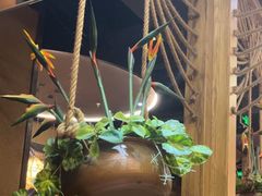 -云海肴·汽锅鸡·云南菜(天津国金汇店)