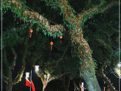 -璟象酒店-爱丽坊景观餐厅