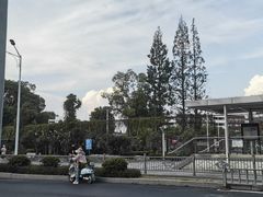 -赭山公园