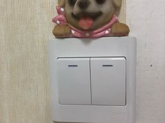 -宠爱国际动物医院· 猫科· 外科·中兽医(长白店)