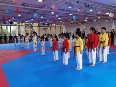 -陈中跆拳道(中关村馆)