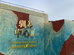 -广东惠东海龟国家级自然保护区