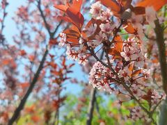 -野鸭湖国家湿地公园