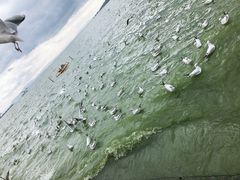 -稷泽·海丽宾雅温泉度假酒店