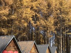 -塞罕坝国家级自然保护区