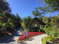-腾冲洞山温泉村