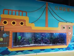 -中国宋庆龄青少年科技文化交流中心