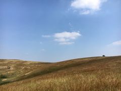 -恋山坝上草原