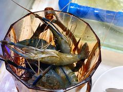-加餐海鲜自助(集美银泰百货店)