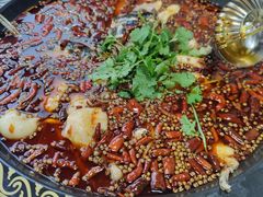 -蛙鲜到美蛙鱼头