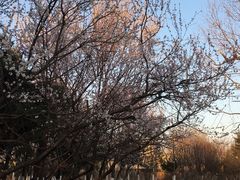 景点-前关湿地公园