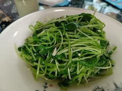 蒜蓉萝卜苗-印象徽州·正宗徽菜体验店