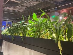 -管氏翅吧(台湾街店)