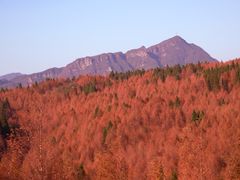 -山王坪喀斯特国家生态公园