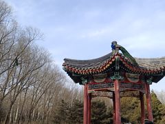 -北京麋鹿生态实验中心