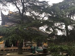 -灵岩山风景区