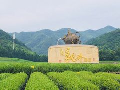 -听风阁农家私房菜茶楼(龙坞店)