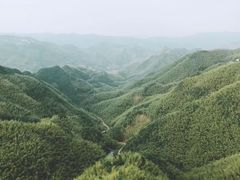 -鹿亭中村