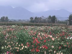 -玉渡山自然风景区