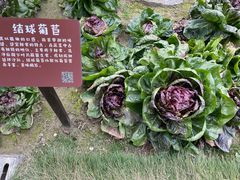 -中国天府农业博览园