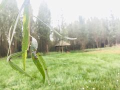 -白鹭湾湿地公园