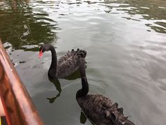 -两江国际影视城