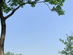 -盘龙城国家考古遗址公园