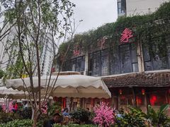 -田园印象·成都土菜院子(华阳店)