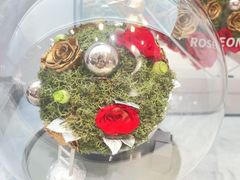 -ROSEONLY诺誓(广州K11店)