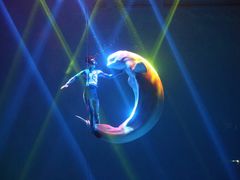 -芜湖新华联大白鲸海洋公园