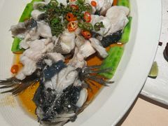 -侨美食家·粤菜(体育西路店)
